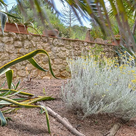 Nocleg ze śniadaniem Piccole Cose Capoliveri (Isola d'Elba)