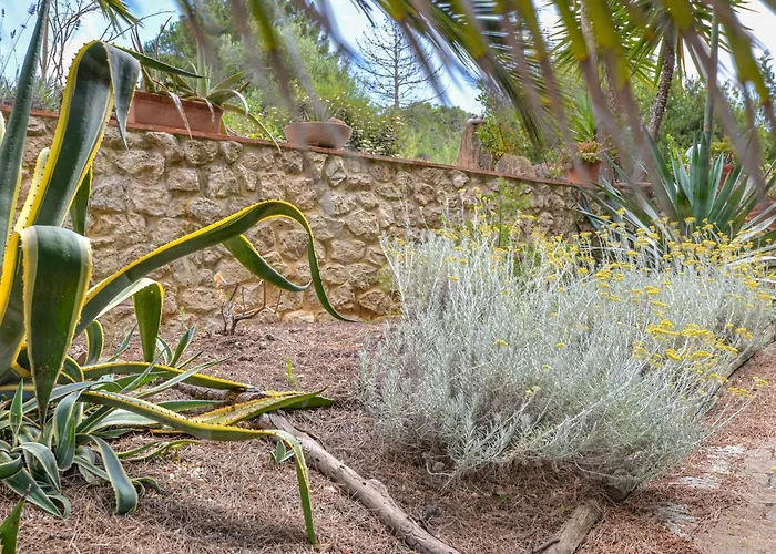Alojamento de Acomodação e Pequeno-almoço Piccole Cose Capoliveri (Isola d'Elba)